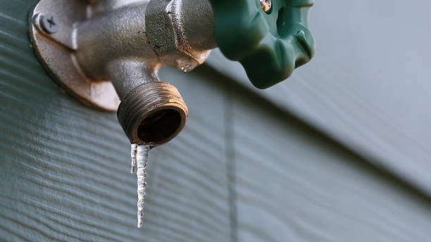 Best Plumbing Services Near Me  in Island Park, NY